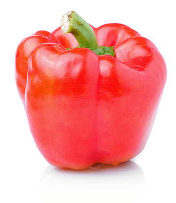 Fresh Bell Peppers Wholesale